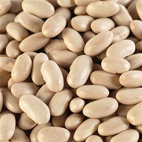 Cannellini Beans
